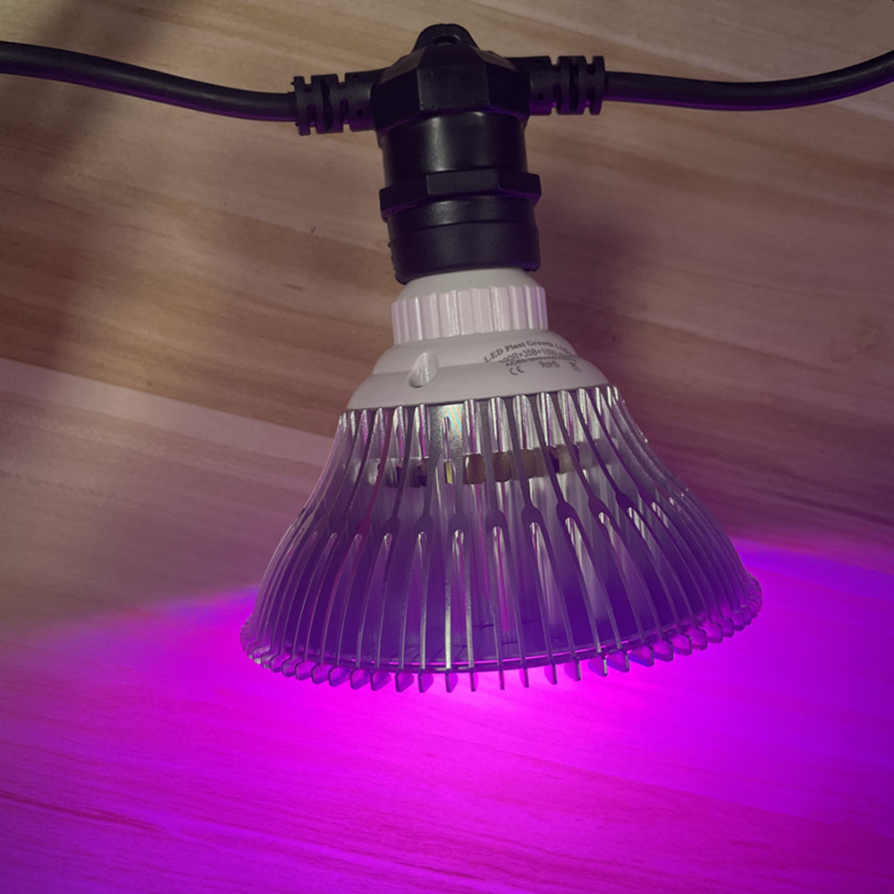 Guirlande lumineuse LED de 10M - Outdoor Lighting Globes avis et prix
