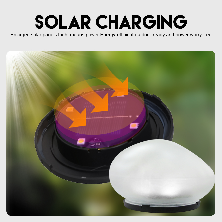 Lampe solaire décorative, lamp - Outdoor Lighting On House avis et prix